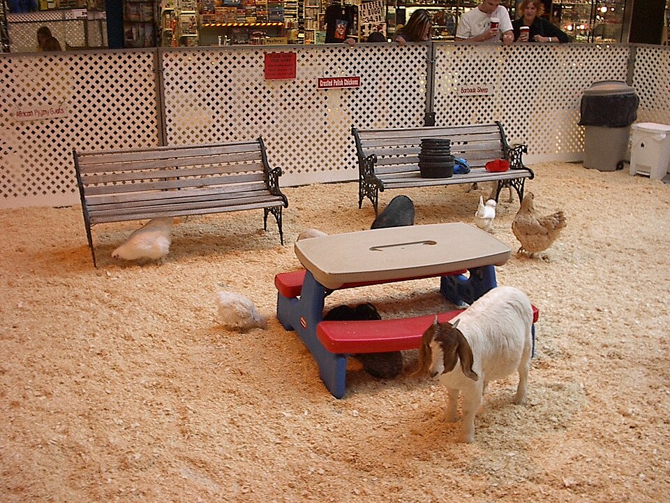 Tonckens dierenpark