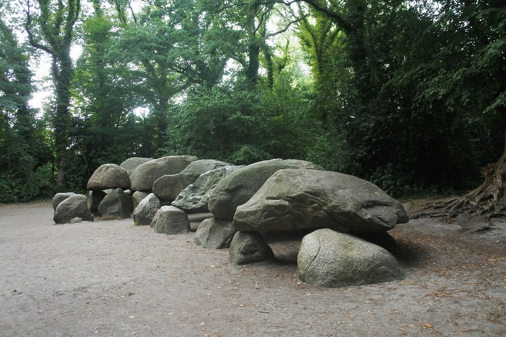 Het grote hunebed D27 bij Borger, tussen de bomen