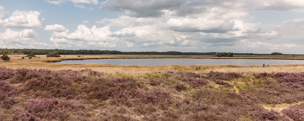 Uit Drenthe