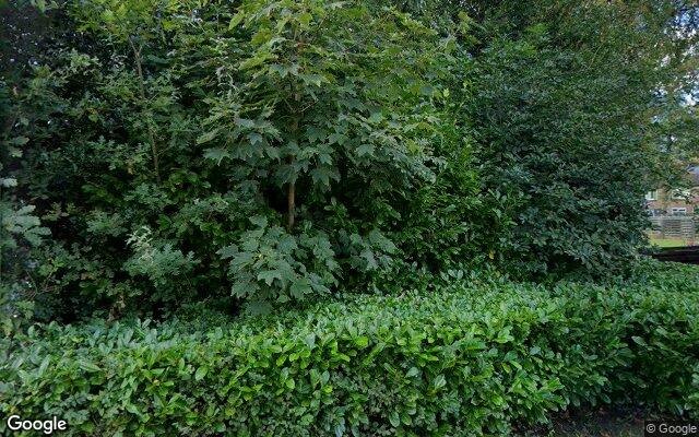 Speeltuin Zonnedauwstraat