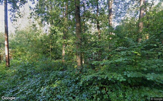 Speeltuin (Borger)