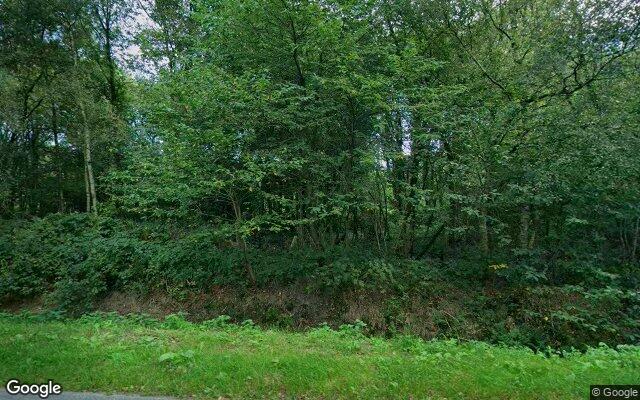 Speeltuin Eendensingel