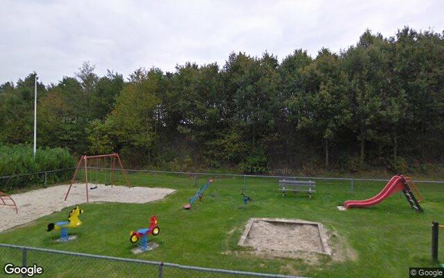 Welpenveld