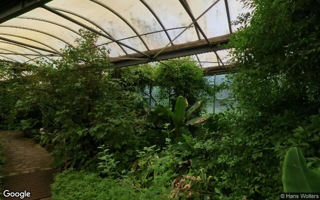 Vlinderparadijs Papiliorama