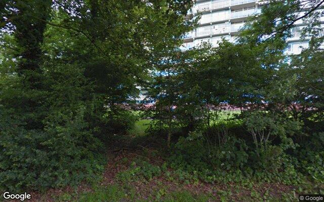 Speeltuin Smetanalaan