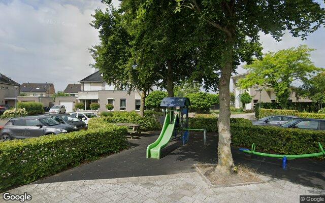 Speeltuin Grijskopspecht
