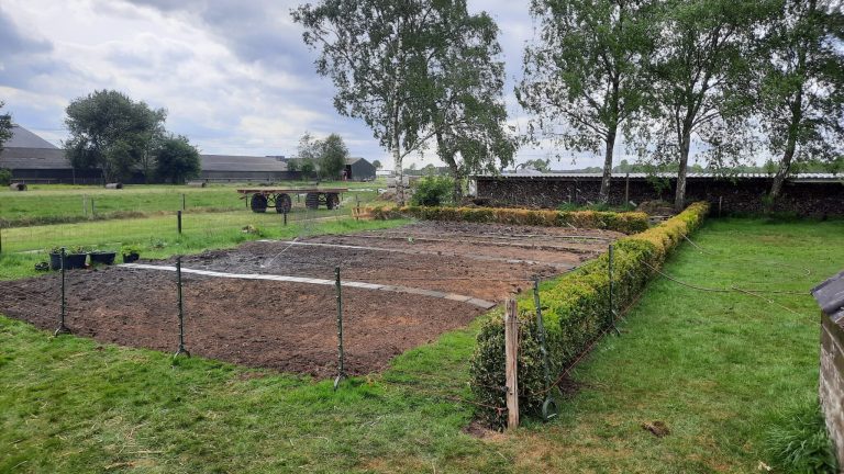 Open Dag Zorgboerderij De Vrije Vogels — Festivals in Drenthe