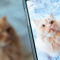 Workshop Mooie Foto’s Maken met je Smartphone – September