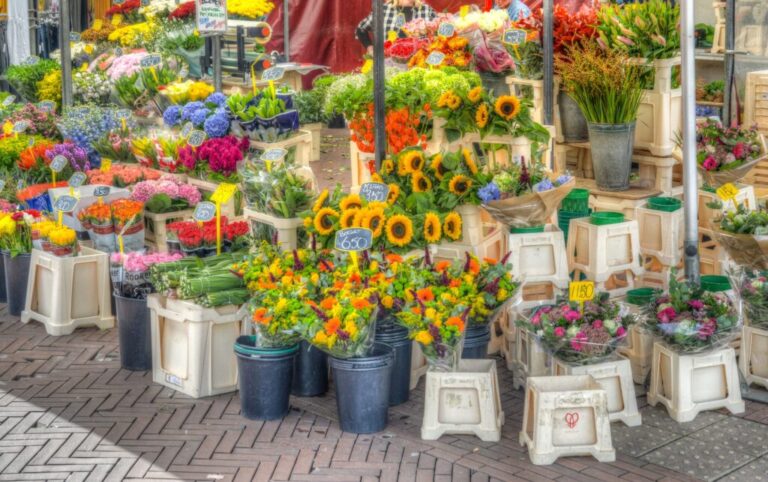 Jaarmarkt Havenstraat 2026 — Braderie en jaarmarkt in Drenthe