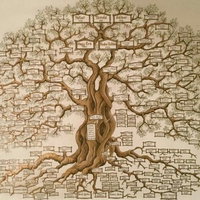 Genealogie Elim: Weet jij waar je familie vandaan komt? — familie-kids in Drenthe