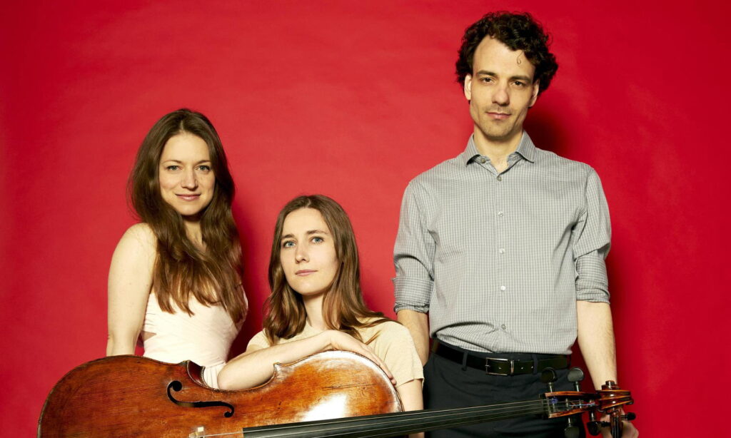 Muziekkamer Assen | Delta Piano Trio in Drenthe