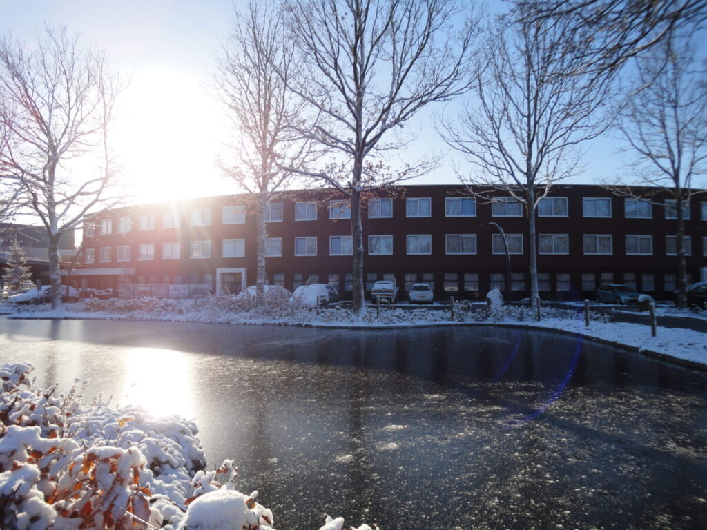 Het Gouden Buitenhof Verjaardagsweekend in Assen