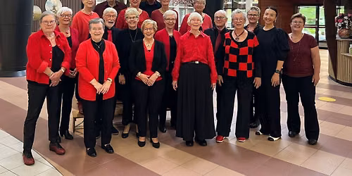 jubileumconcert – 1 november 2026 — muziek in Drenthe